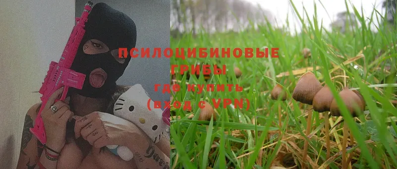 Галлюциногенные грибы Magic Shrooms Десногорск